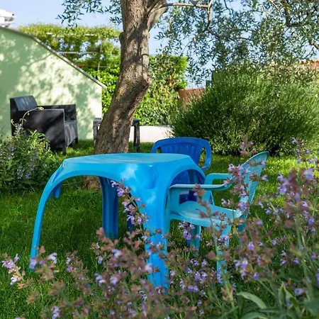 Elegant Versovica With Pool Near Pula By Wiibuk Villa Peruski